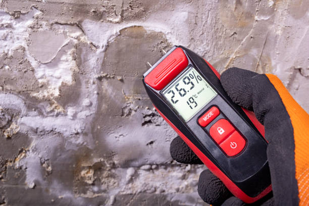 Best Post-Flood Mold Remediation in Waynesboro, PA